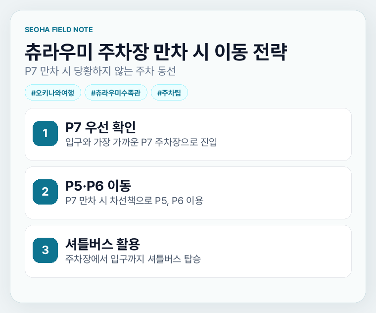 츄라우미 주차장 만차 시 이동 전략