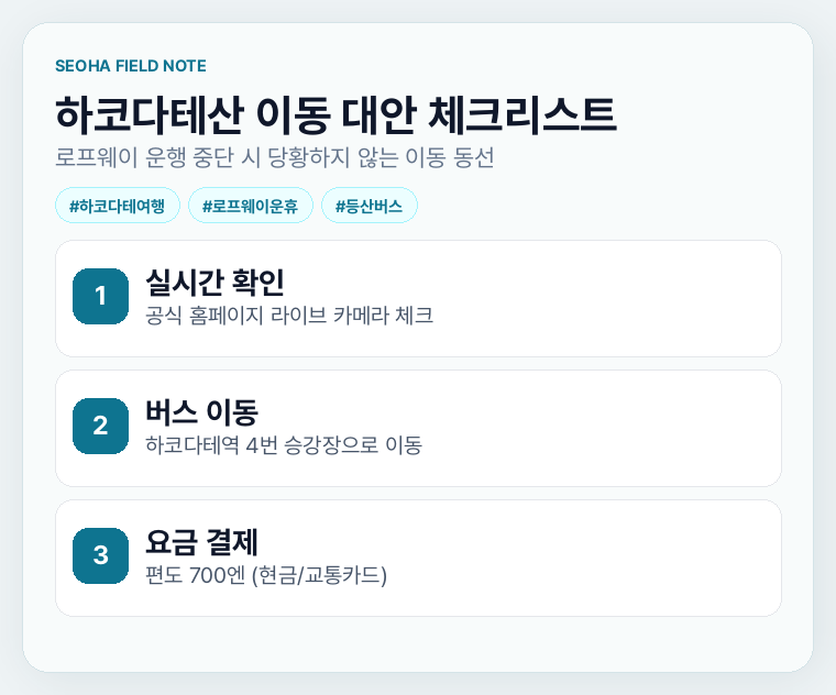 하코다테산 이동 대안 체크리스트